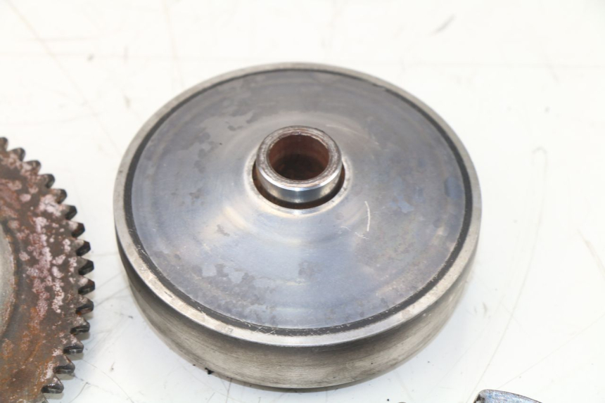 photo de VARIATOR ROADSIGN WALLABY 50 (2009 - 2014) - Technische close-up