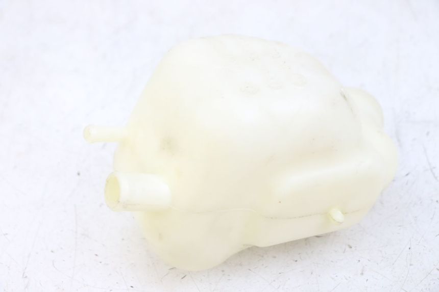 photo de EXPANSIEVAT PEUGEOT GEOPOLIS RS 125 (2007 - 2009) - Detail van het onderdeel