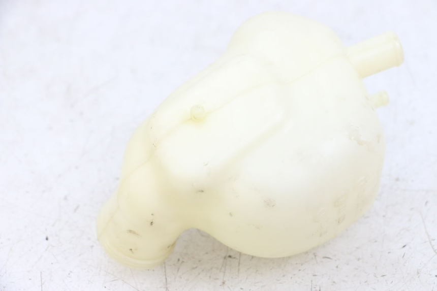 photo de EXPANSIEVAT PEUGEOT GEOPOLIS RS 125 (2007 - 2009) - Detail van het onderdeel