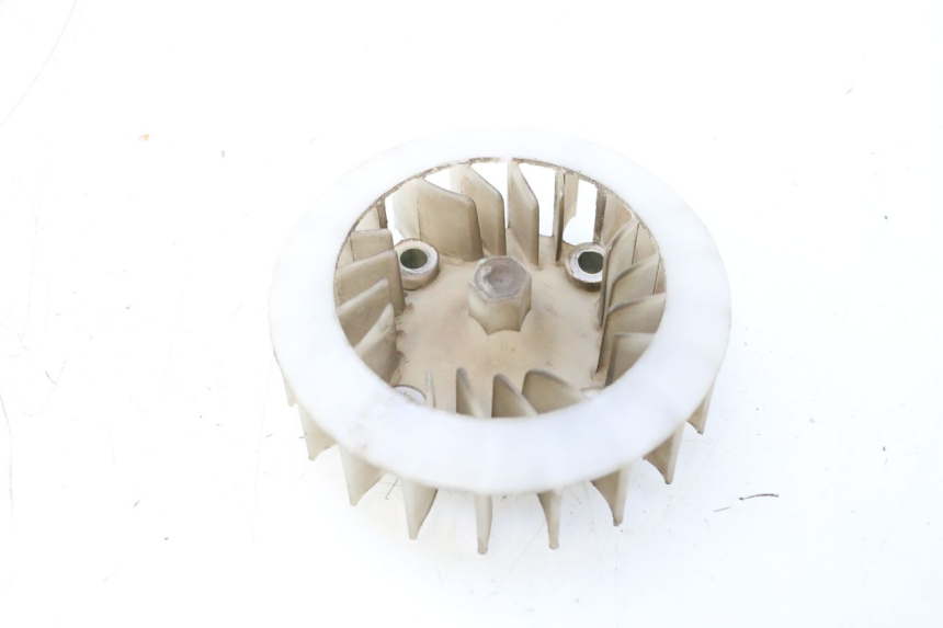 photo de VENTILATOR JM MOTORS F45i 4T 50 (2020 - 2023) - Zoom op gebruiksstaat