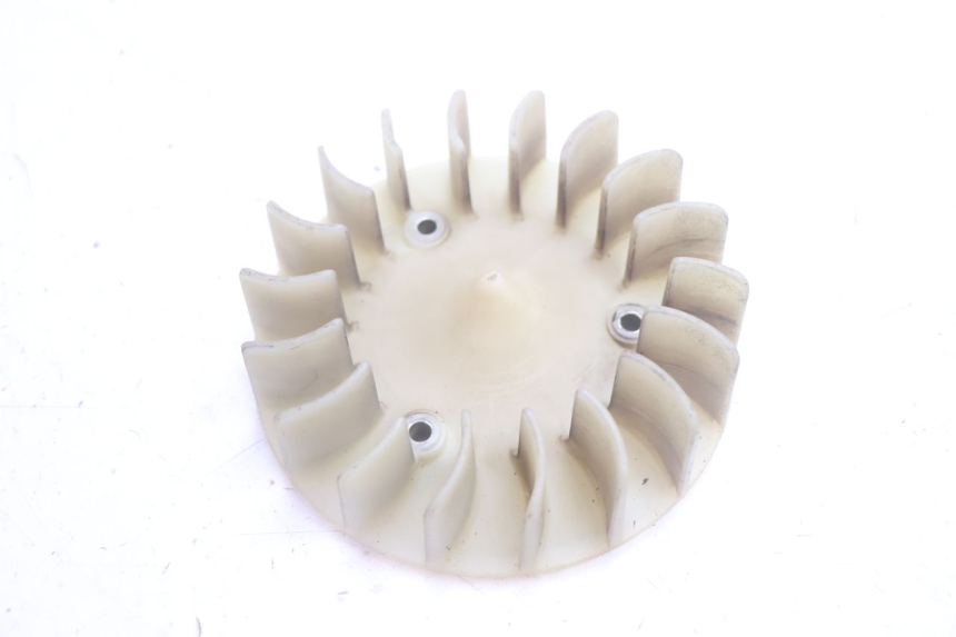 photo de VENTILATOR PEUGEOT KISBEE 2T 50 (2010 - 2017) - Hoofdaanzicht