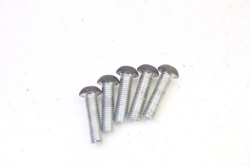 photo de REMSCHIJF BOUT PEUGEOT CITYSTAR 50 (2013 - 2017) - Zoom op gebruiksstaat