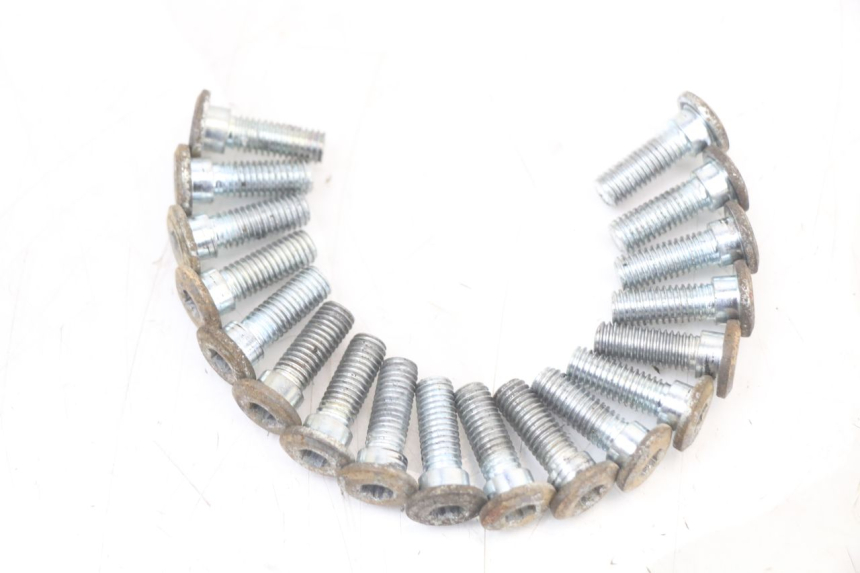 photo de REMSCHIJF BOUT REGAL RAPTOR RAXTER 2 125 (2007 - 2015) - Detail van het onderdeel