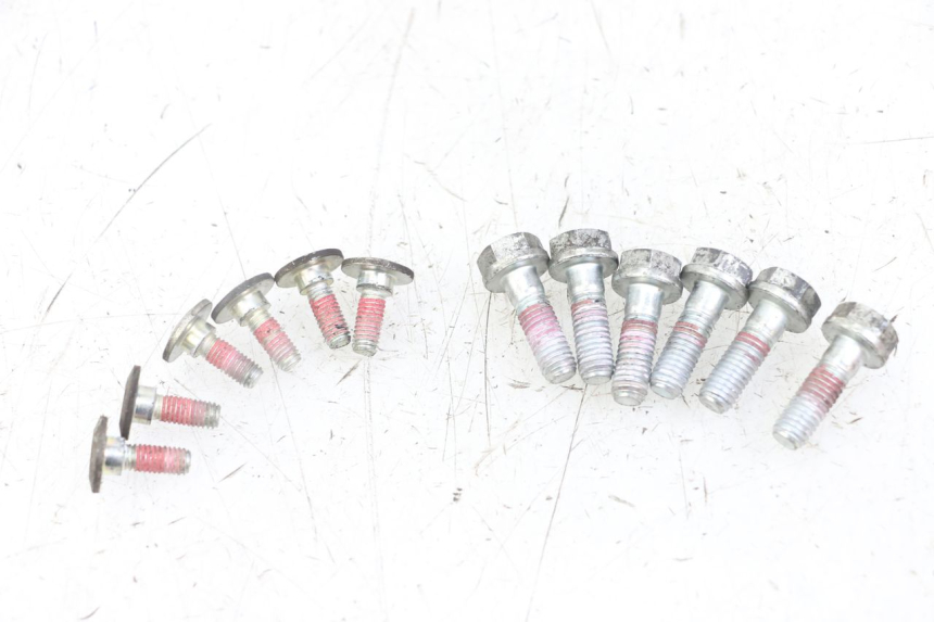 photo de REMSCHIJF BOUT ROYAL ENFIELD HYMALAYAN 410 (2016 - 2023) - Hoofdaanzicht