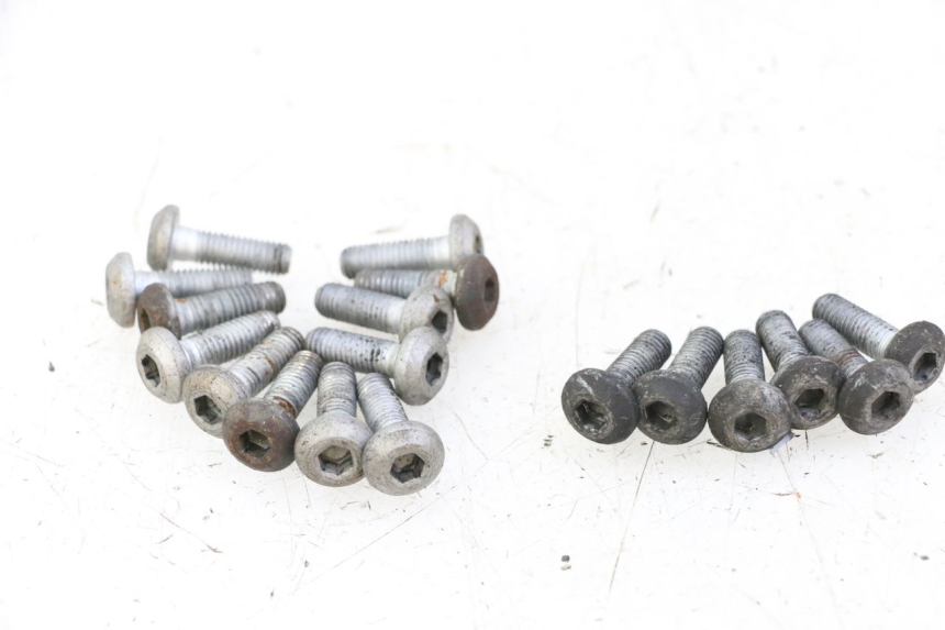 photo de REMSCHIJF BOUT YAMAHA XJN DIVERSION 600 (2000 - 2003) - Overzicht